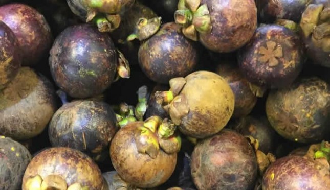 Buah Manggis